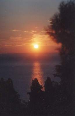 Csontos Joln fotmvsz alkotsa