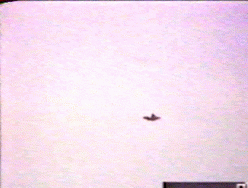 NEM EGYFORMKAT UGRIK