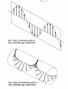 Dr. Bernolk Klmn;  A fny MK 1981