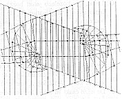 Ksa Zsolt programja 1992
